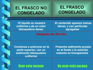 No usar esta vacuna Usar esta vacuna Presenta sedimento grueso en el fondo y la solución   restante es transparente  Comienza a aclararse en la parte superior, con un sedimento blanquesino uniforme Después de 20 min . El contenido aparece menos denso, y con partículas agregadas El líquido se muestra uniforme y de un color blanquesino denso EL FRASCO  CONGELADO   EL FRASCO NO CONGELADO 