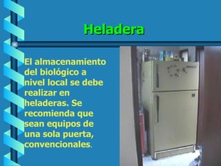 Heladera El almacenamiento del biológico a nivel local se debe realizar en heladeras. Se recomienda que sean equipos de una sola puerta, convencionales . 