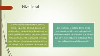 Nivel local
El nivel local abarca hospitales, clínicas,
centros y puestos de salud. Cuenta con
refrigeradores para mantener las vacunas por
cortos periodos de tiempo (recomendable un
mes), asimismo, este nivel cuenta con cajas
frías y termos portavacunas para transportar
los biológicos a los puestos de vacunación.
Los niveles de la cadena de frío arriba
mencionados están conectados entre sí,
mediante una serie de eslabones que permite
que las vacunas lleguen a su objetivo final,
que es la protecciónde la población
 