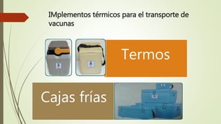 IMplementos térmicos para el transporte de
vacunas
Termos
Cajas frías
 