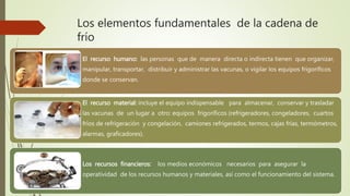 Los elementos fundamentales de la cadena de
frío
El recurso humano: las personas que de manera directa o indirecta tienen que organizar,
manipular, transportar, distribuir y administrar las vacunas, o vigilar los equipos frigoríficos
donde se conservan.
El recurso material: incluye el equipo indispensable para almacenar, conservar y trasladar
las vacunas de un lugar a otro: equipos frigoríficos (refrigeradores, congeladores, cuartos
fríos de refrigeración y congelación, camiones refrigerados, termos, cajas frías, termómetros,
alarmas, graficadores).
Los recursos financieros: los medios económicos necesarios para asegurar la
operatividad de los recursos humanos y materiales, así como el funcionamiento del sistema.
 