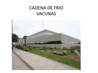 CADENA DE FRIO
VACUNAS
 