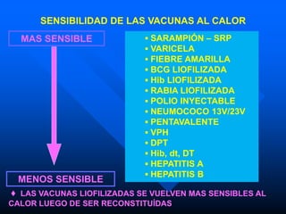 CADENA DE FRIOOO, pautas para un optimo desempeño | PDF