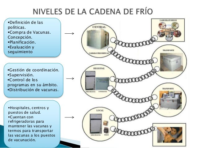 Cadena de frío 2012
