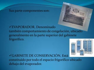 Sus parte componentes son:
EVAPORADOR. Denominado
también comportamiento de congelación, ubicado
generalmente en la parte superior del gabinete
frigorífico.
GABINETE DE CONSERVACIÓN. Está
constituido por todo el espacio frigorífico ubicado
debajo del evaporador.
 