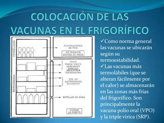 Como norma general
las vacunas se ubicarán
según su
termoestabilidad.
Las vacunas más
termolábiles (que se
alteran fácilmente por
el calor) se almacenarán
en las zonas más frías
del frigorífico. Son
principalmente la
vacuna polio oral (VPO)
y la triple vírica (SRP).
 