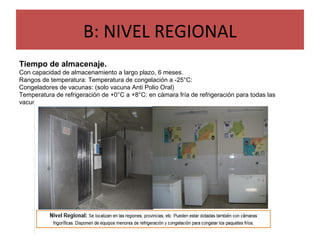 B: NIVEL REGIONAL
Tiempo de almacenaje.
Con capacidad de almacenamiento a largo plazo, 6 meses.
Rangos de temperatura: Temperatura de congelación a -25°C:
Congeladores de vacunas: (solo vacuna Anti Polio Oral)
Temperatura de refrigeración de +0°C a +8°C: en cámara fría de refrigeración para todas las
vacunas.
 