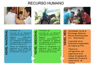 RECURSO HUMANO
 