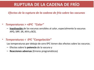 Efectos de la ruptura de la cadena de frío sobre las vacunas
• Temperaturas > +8ºC “Calor”
– Inactivasión de las vacunas sensibles al calor, especialmente la vacunas
APO, SRP, SR, AFA y BCG.
• Temperaturas < 0ºC “Congelación”
Las temperaturas por debajo de cero 0ºC tienen dos efectos sobre las vacunas.
– Efectos sobre la potencia de la vacuna y
– Reacciones adversas (Errores programáticos)
RUPTURA DE LA CADENA DE FRÍO
 