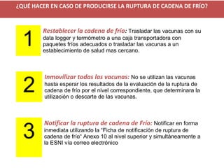 1
Restablecer la cadena de frío: Trasladar las vacunas con su
data logger y termómetro a una caja transportadora con
paquetes fríos adecuados o trasladar las vacunas a un
establecimiento de salud mas cercano.
2
Inmovilizar todas las vacunas: No se utilizan las vacunas
hasta esperar los resultados de la evaluación de la ruptura de
cadena de frío por el nivel correspondiente, que determinara la
utilización o descarte de las vacunas.
3
Notificar la ruptura de cadena de Frío: Notificar en forma
inmediata utilizando la “Ficha de notificación de ruptura de
cadena de frío“ Anexo 10 al nivel superior y simultáneamente a
la ESNI vía correo electrónico
¿QUÉ HACER EN CASO DE PRODUCIRSE LA RUPTURA DE CADENA DE FRÍO?
 