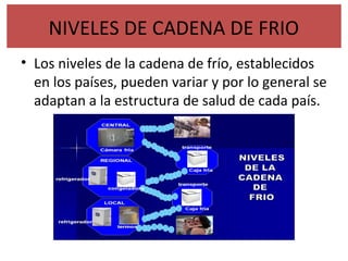 NIVELES DE CADENA DE FRIO
• Los niveles de la cadena de frío, establecidos
en los países, pueden variar y por lo general se
adaptan a la estructura de salud de cada país.
 