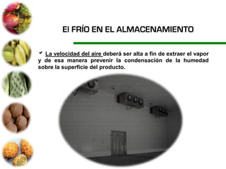 El FRÍO EN EL ALMACENAMIENTO

 La velocidad del aire deberá ser alta a fin de extraer el vapor
y de esa manera prevenir la condensación de la humedad
sobre la superficie del producto.
 