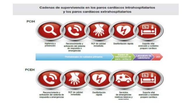 Cadena de supervivencia