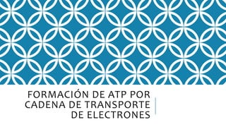 FORMACIÓN DE ATP POR
CADENA DE TRANSPORTE
DE ELECTRONES
 