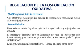 REGULACIÓN DE LA FOSFORILACIÓN
OXIDATIVA
El ADP regula el flujo de electrones
“los electrones no entran a la cadena de transporte a menos que exista
ADP para fosforilación”
Termodinámica
En ocasiones donde hay desacople de transporte de e- y la fosforilación
de ADP.
El desacople ocasiona que la velocidad de flujo de electrones sea
incontrolable, y se consume gran cantidad de nutrientes y de O2 para
sintetizar ATP
La energía utilizada para sintetizar ATP ahora se libera como calor
 