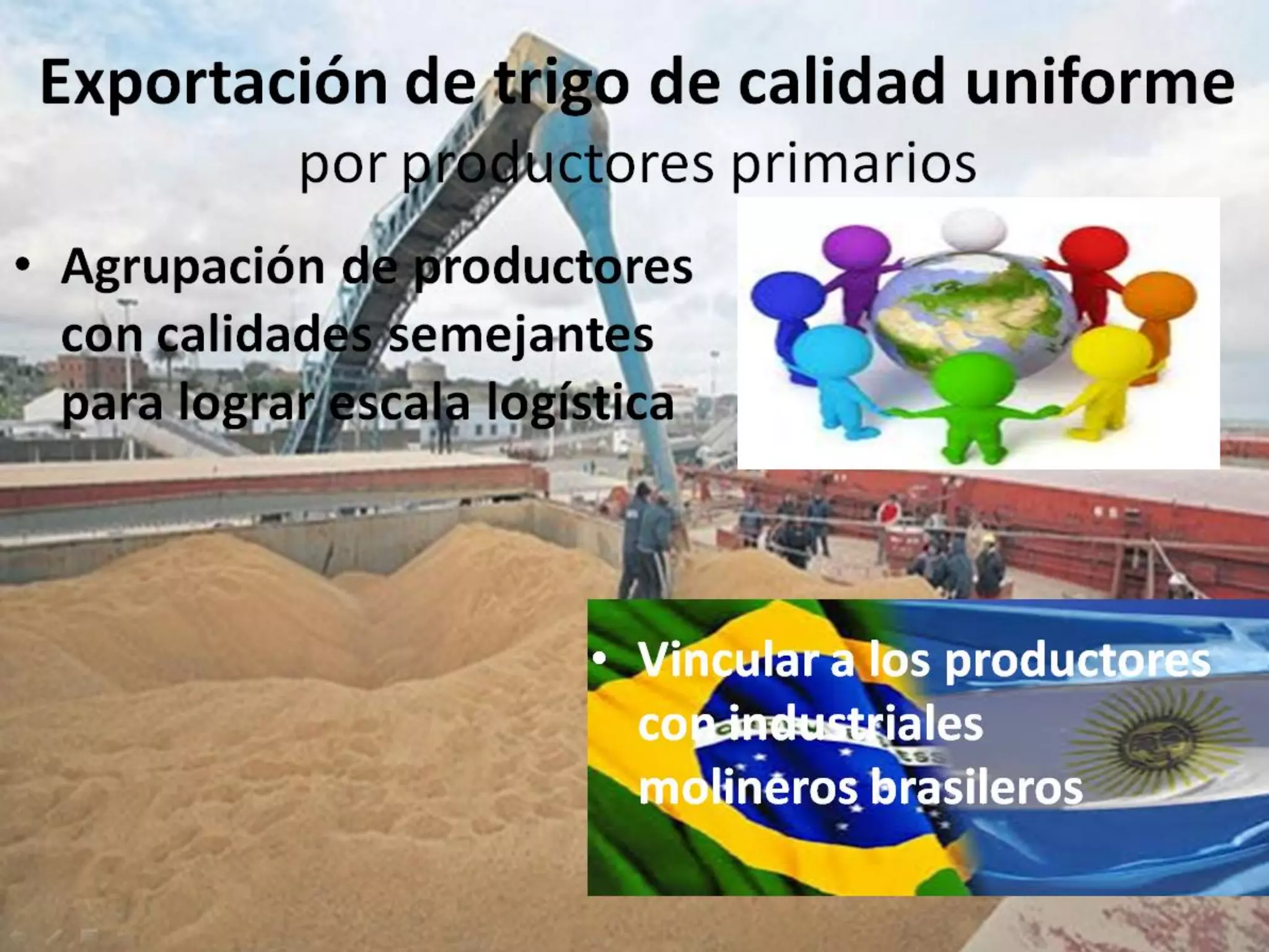 Análisis de situación y prospectiva de la Cadena de valor del trigo ...