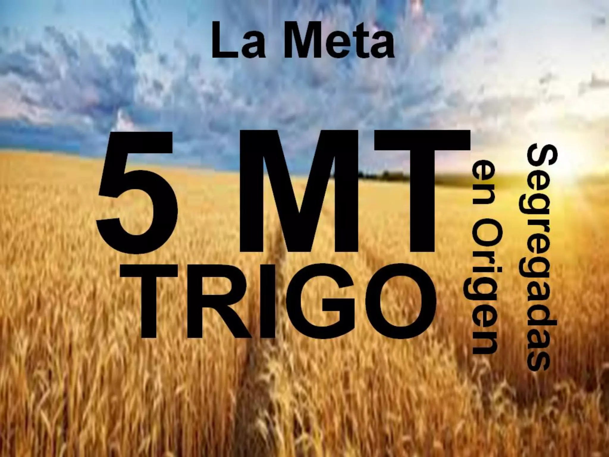 Análisis de situación y prospectiva de la Cadena de valor del trigo ...