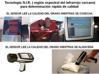 Análisis de situación y prospectiva de la Cadena de valor del trigo | PDF