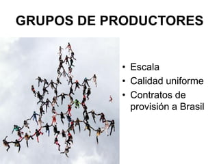 Análisis de situación y prospectiva de la Cadena de valor del trigo | PDF