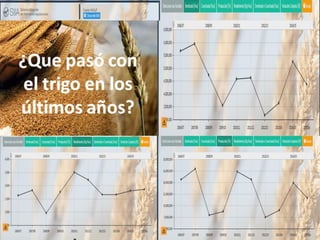Análisis de situación y prospectiva de la Cadena de valor del trigo | PDF