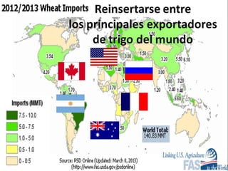 Análisis de situación y prospectiva de la Cadena de valor del trigo | PDF