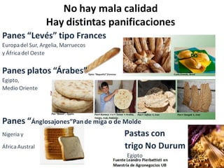 Análisis de situación y prospectiva de la Cadena de valor del trigo | PDF