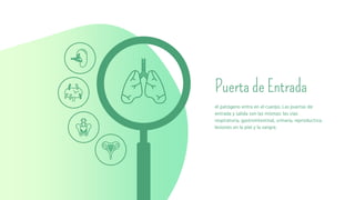 Puerta de Entrada
el patógeno entra en el cuerpo. Las puertas de
entrada y salida son las mismas: las vías
respiratoria, gastrointestinal, urinaria, reproductiva,
lesiones en la piel y la sangre.
 