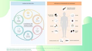 https://www.elsevier.com/es-es/connect/enfermeria/edu-cadena-de-infeccion-y-metodos-de-transmision-de-microbios
https://www.fundacionaquae.org/wiki/triada-ecologica/
https://www.paho.org/col/dmdocuments/MOPECE2.pdf
 