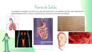 Puerta de Salida.
el patógeno necesita una forma de salir del reservorio. Las salidas son las vías respiratoria,
gastrointestinal (GI), urinaria, reproductiva, lesiones en la piel y la sangre.
https://www.elsevier.com/es-es/connect/enfermeria/edu-cadena-de-infeccion-y-metodos-de-transmision-de-microbios
https://www.fundacionaquae.org/wiki/triada-ecologica/
https://www.paho.org/col/dmdocuments/MOPECE2.pdf
 