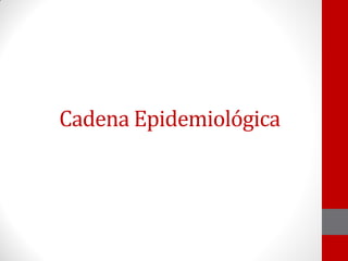 Cadena Epidemiológica
 