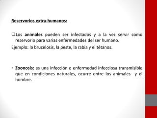 Reservorios extra-humanos:
Los animales pueden ser infectados y a la vez servir como
reservorio para varias enfermedades del ser humano.
Ejemplo: la brucelosis, la peste, la rabia y el tétanos.
• Zoonosis: es una infección o enfermedad infecciosa transmisible
que en condiciones naturales, ocurre entre los animales y el
hombre.
 