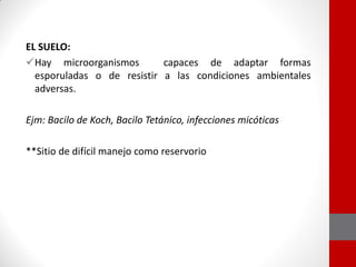 EL SUELO:
Hay microorganismos capaces de adaptar formas
esporuladas o de resistir a las condiciones ambientales
adversas.
Ejm: Bacilo de Koch, Bacilo Tetánico, infecciones micóticas
**Sitio de difícil manejo como reservorio
 