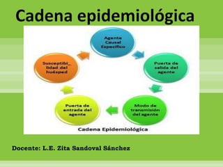Cadena epidemiológica
Docente: L.E. Zita Sandoval Sánchez
 