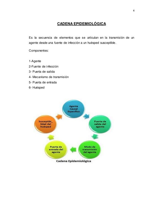 Eslabones De La Cadena Epidemiologica Gufa Eslabones De La Cadena Epidemiologica Gufa