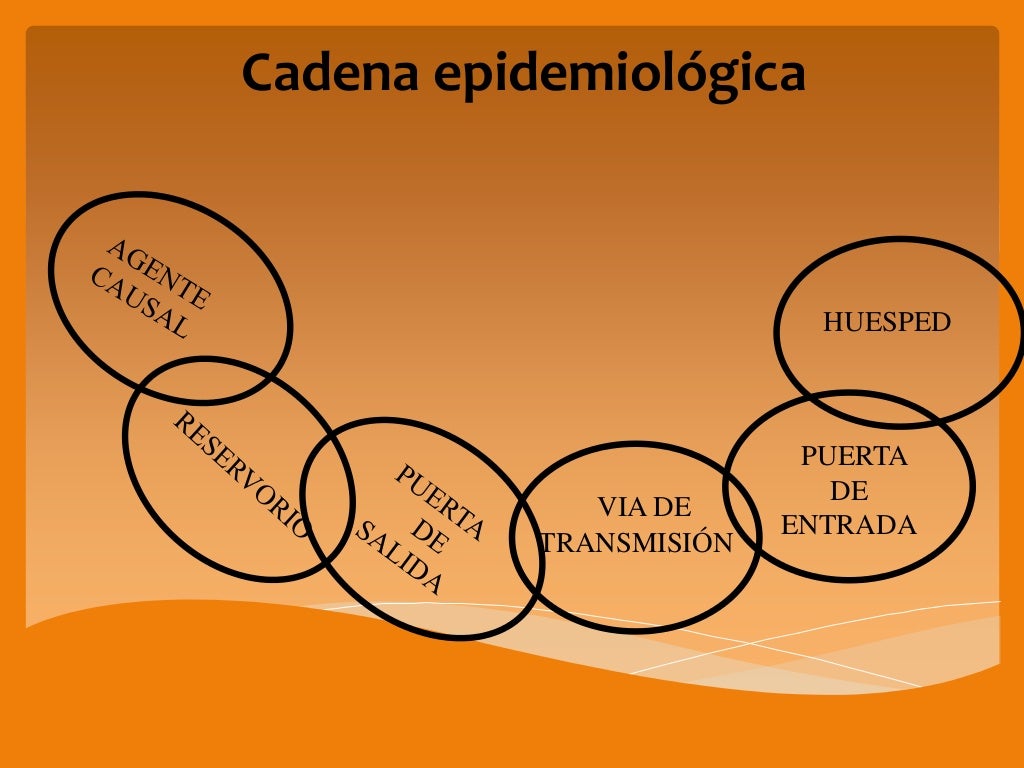 Cadena epidemiologica Cadena epidemiologica