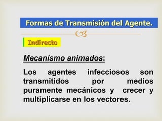 Formas de Transmisión del Agente. 
AGENTE,HUESPED, AMBIENTE 
 
IInnddiirreeccttoo 
Mecanísmo animados: 
Los agentes infecciosos son 
transmitidos por medios 
puramente mecánicos y crecer y 
multiplicarse en los vectores. 
 