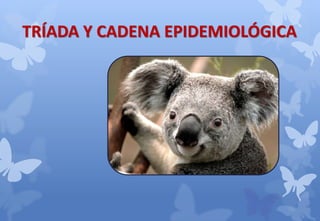 TRÍADA Y CADENA EPIDEMIOLÓGICA
 