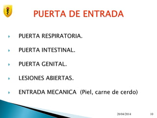  PUERTA RESPIRATORIA.
 PUERTA INTESTINAL.
 PUERTA GENITAL.
 LESIONES ABIERTAS.
 ENTRADA MECANICA (Piel, carne de cerdo)
20/04/2014 10
 