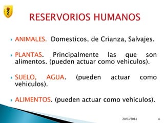  ANIMALES. Domesticos, de Crianza, Salvajes.
 PLANTAS. Principalmente las que son
alimentos. (pueden actuar como vehiculos).
 SUELO, AGUA. (pueden actuar como
vehiculos).
 ALIMENTOS. (pueden actuar como vehiculos).
20/04/2014 6
 