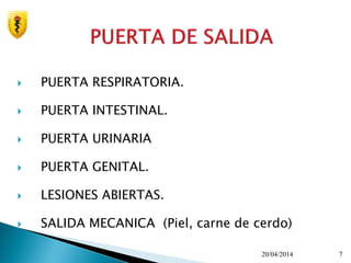  PUERTA RESPIRATORIA.
 PUERTA INTESTINAL.
 PUERTA URINARIA
 PUERTA GENITAL.
 LESIONES ABIERTAS.
 SALIDA MECANICA (Piel, carne de cerdo)
20/04/2014 7
 