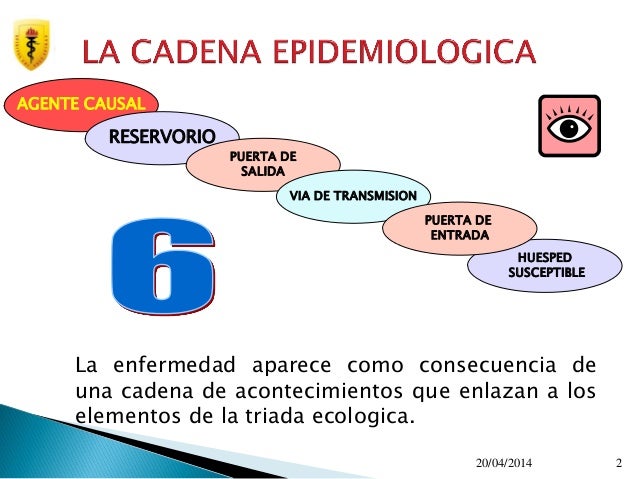cadena epidemiologica cual es cadena epidemiologica y tipos de prevencion cadena epidemiologica cual es cadena epidemiologica y tipos de prevencion