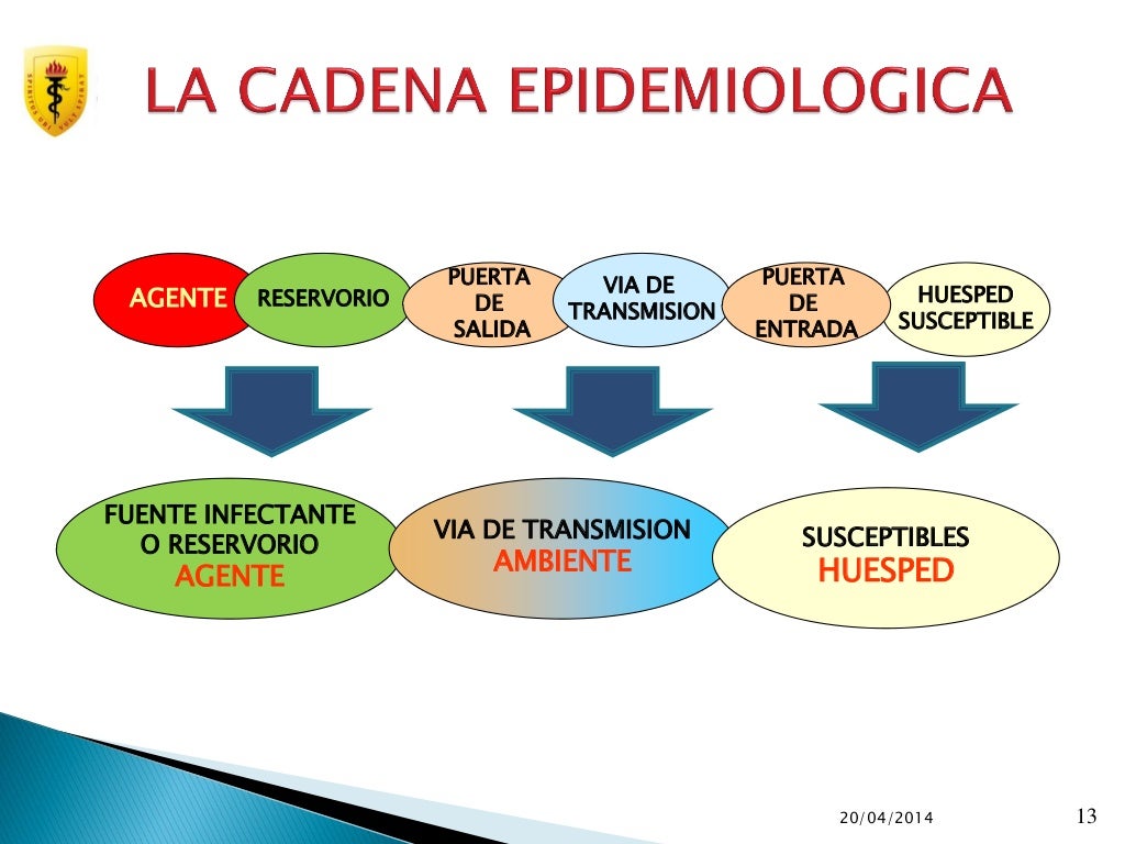 Cadena epidemiologica y Tipos de prevencion Cadena epidemiologica y Tipos de prevencion