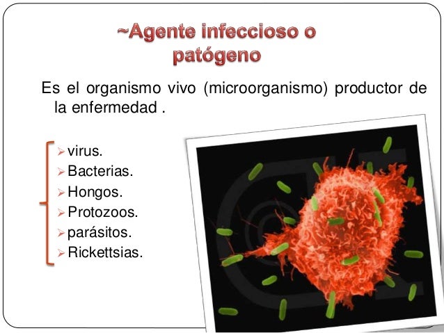 Cadena infecciosa