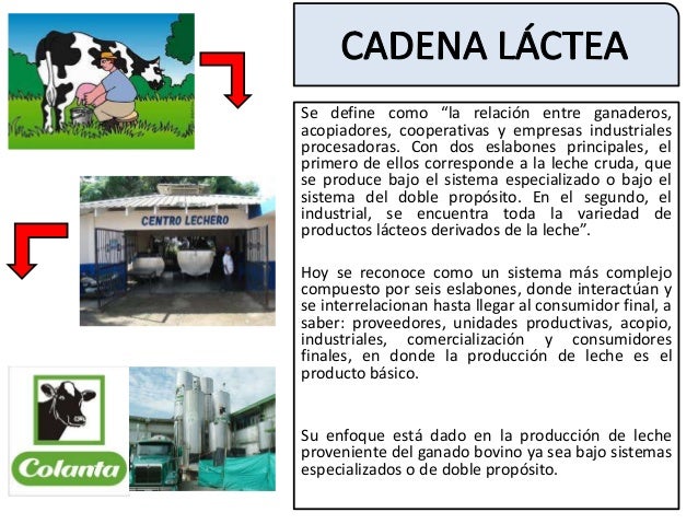 cadena productiva lechera mexico cadena l 225 ctea colombiana cadena productiva lechera mexico cadena l 225 ctea colombiana