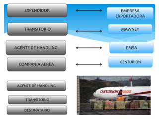 TRANSITORIO
AGENTE DE HANDLING
COMPANIA AEREA
AGENTE DE HANDLING
TRANSITORIO
CENTURION
EMSA
MAWNEY
EMPRESA
EXPORTADORA
EXPENDIDOR
DESTINATARIO
 