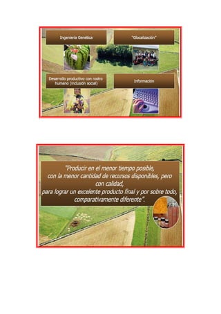 Cadena productiva papas lays