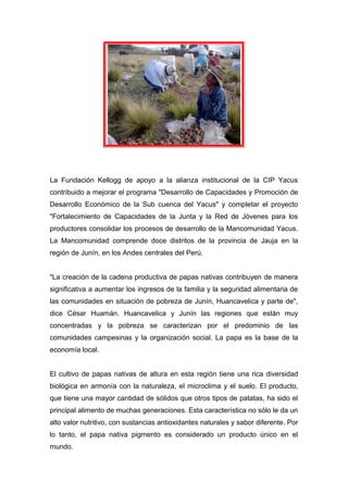La Fundación Kellogg de apoyo a la alianza institucional de la CIP Yacus
contribuido a mejorar el programa "Desarrollo de Capacidades y Promoción de
Desarrollo Económico de la Sub cuenca del Yacus" y completar el proyecto
"Fortalecimiento de Capacidades de la Junta y la Red de Jóvenes para los
productores consolidar los procesos de desarrollo de la Mancomunidad Yacus.
La Mancomunidad comprende doce distritos de la provincia de Jauja en la
región de Junín, en los Andes centrales del Perú.
"La creación de la cadena productiva de papas nativas contribuyen de manera
significativa a aumentar los ingresos de la familia y la seguridad alimentaria de
las comunidades en situación de pobreza de Junín, Huancavelica y parte de",
dice César Huamán. Huancavelica y Junín las regiones que están muy
concentradas y la pobreza se caracterizan por el predominio de las
comunidades campesinas y la organización social. La papa es la base de la
economía local.
El cultivo de papas nativas de altura en esta región tiene una rica diversidad
biológica en armonía con la naturaleza, el microclima y el suelo. El producto,
que tiene una mayor cantidad de sólidos que otros tipos de patatas, ha sido el
principal alimento de muchas generaciones. Esta característica no sólo le da un
alto valor nutritivo, con sustancias antioxidantes naturales y sabor diferente. Por
lo tanto, el papa nativa pigmento es considerado un producto único en el
mundo.
 