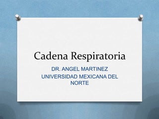 Cadena Respiratoria
    DR. ANGEL MARTINEZ
 UNIVERSIDAD MEXICANA DEL
          NORTE
 