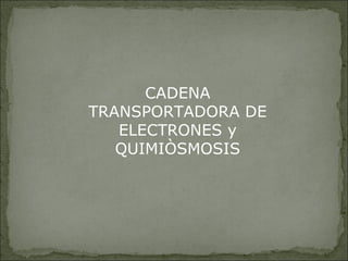 CADENA
TRANSPORTADORA DE
ELECTRONES y
QUIMIÒSMOSIS

 