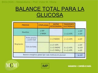 BALANCE TOTAL PARA LA GLUCOSA IMP